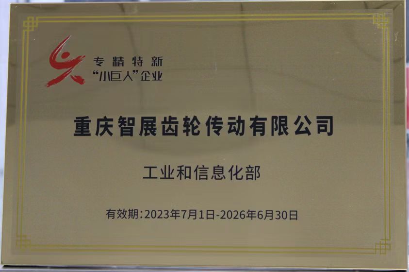 專精特新“小巨人”企業